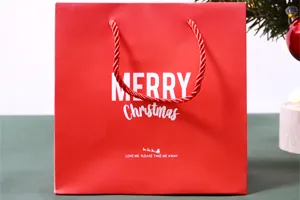 Matching Paper Bags3