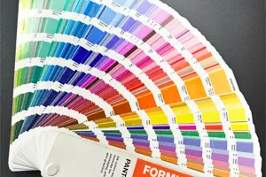 Pantone (PMS) Spot Color